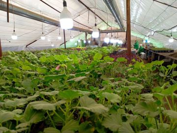 ���������� ��� �������� ���������� ����� ��� �������� ����������