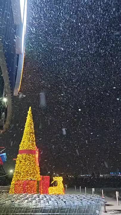 � ��������, �������� �� �������� ������� ���� ���, ���������� ��������� ����������� ��������� ��������� �����