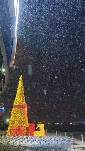 � ��������, �������� �� �������� ������� ���� ���, ���������� ��������� ����������� ��������� ��������� �����