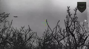 ����� ����� ������������ ������������� ����� ������ �� ���� �� �������� ��� � ���������� ����