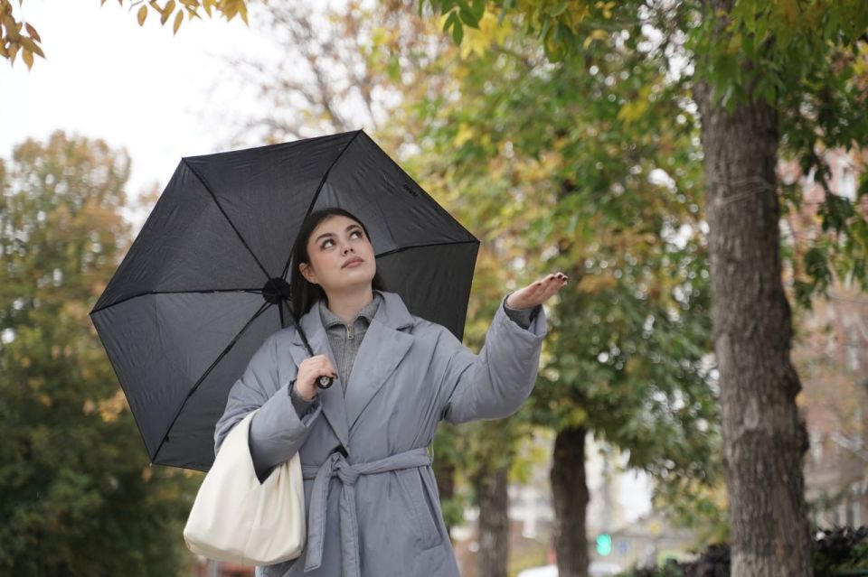 � ��� � �������, 9 ������, ��������� �� 3 �������� ����� � ������� �����