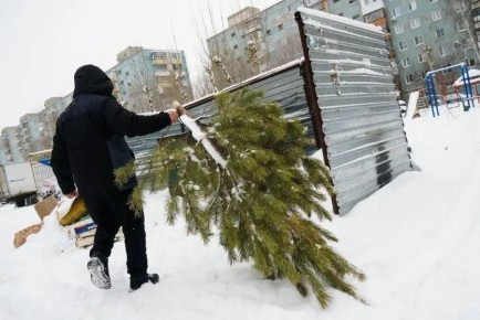 ���������� ��� ����������: ���������� ��� � ����� ������ ����������� � �������� ����, ��� ��� ��� ����� ������� ���������