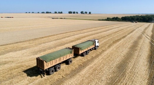 Аграрии засеяли озимыми культурами более 290 тыс. га полей ЛНР