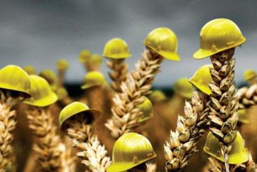 С 2026 года в ЛНР начинает работать механизм сельскохозяйственного страхования агрорисков