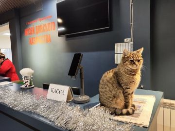 ����� ����������� � ������� �����������: ����� ����� ������� ��� ������ � ���