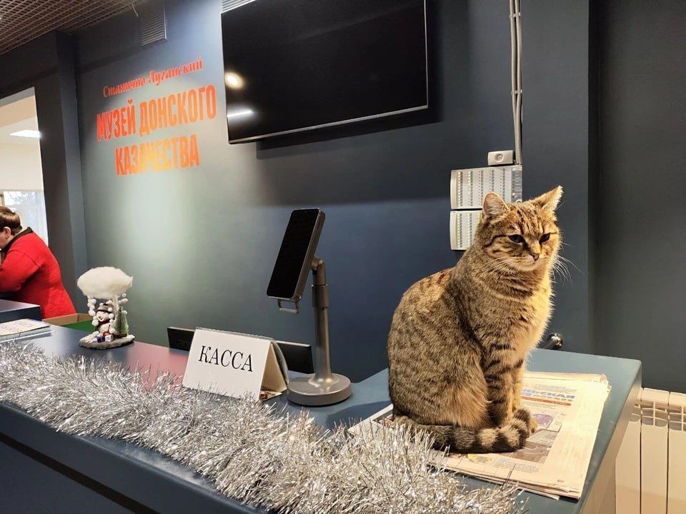 ����� ����������� � ������� �����������: ����� ����� ������� ��� ������ � ���