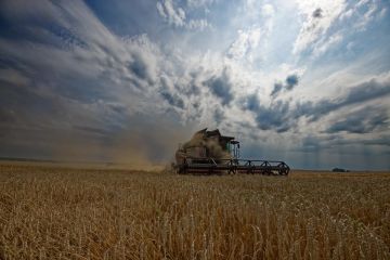 ������� ��� ���������� � ��������� ������� ����������� ���������� �������