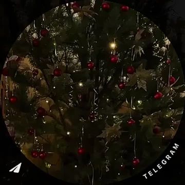 ������ ����� ��� � �������� �������!