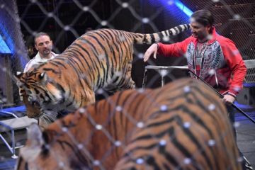 В Луганском цирке открылась экспозиция «Династия Запашных»