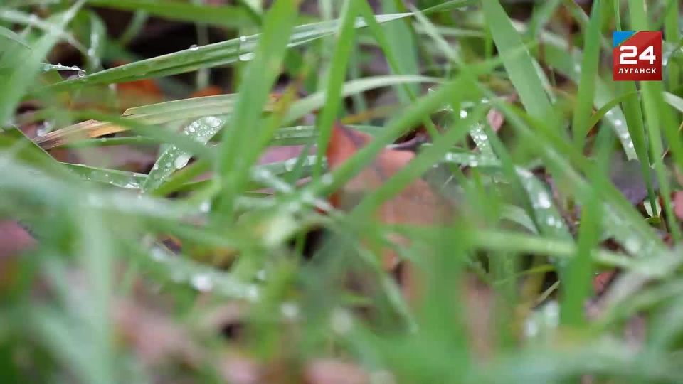 ��������������� ������� � ������� � ����������� ��������