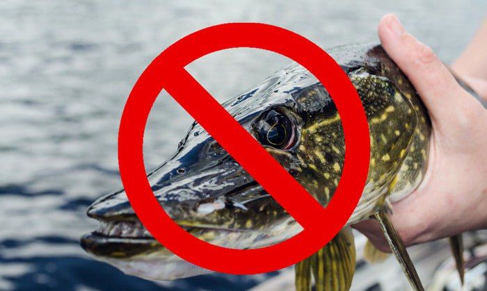 � ��� � 15 ������ �������� � ���� ������ �� ������ ���� � ������ �������� �������