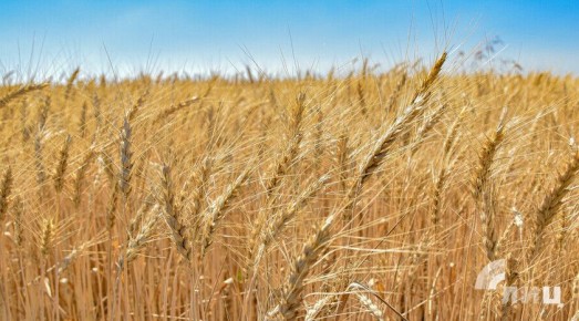 ������� ���� �������� � ������������ � ��� � 2024 ���� ����� � 1,5 ����