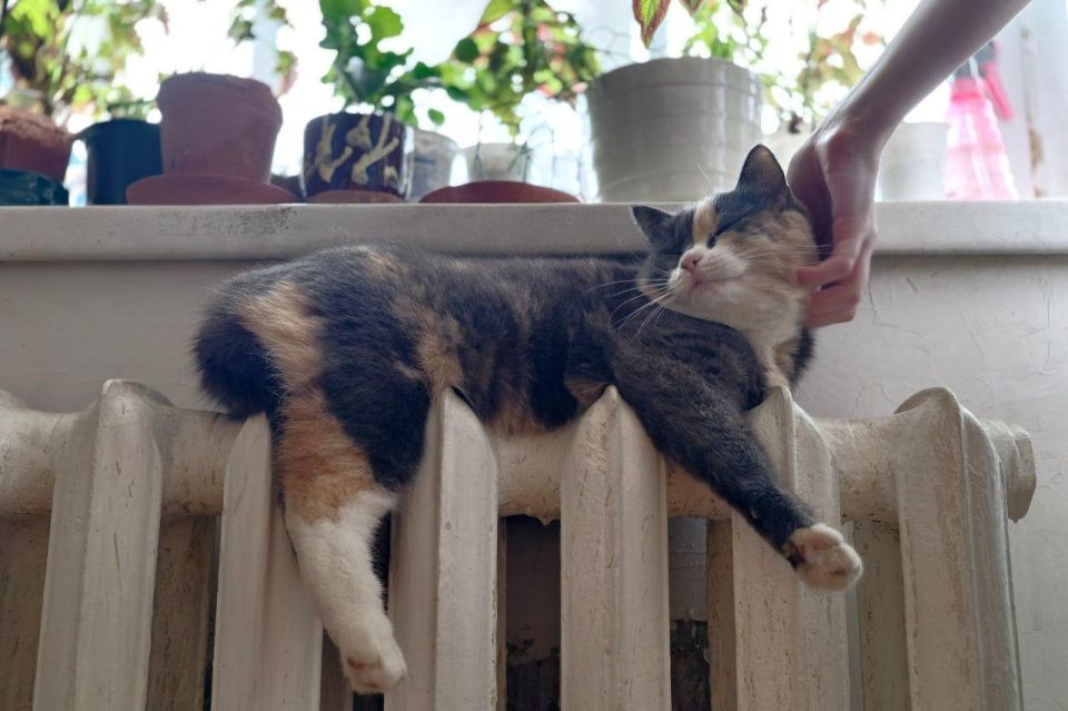 Отопление подорожало: В ЛНР утвердили тарифы на теплоснабжение в 2026 году