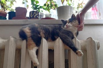 ��������� ����������: � ��� ��������� ������ �� �������������� � 2026 ����