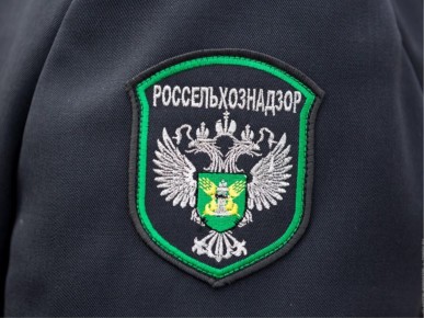 ���������������� � ���: ������������ ������ �������