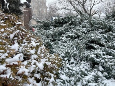 ���� � ������� ��������� � ��� 16 ������