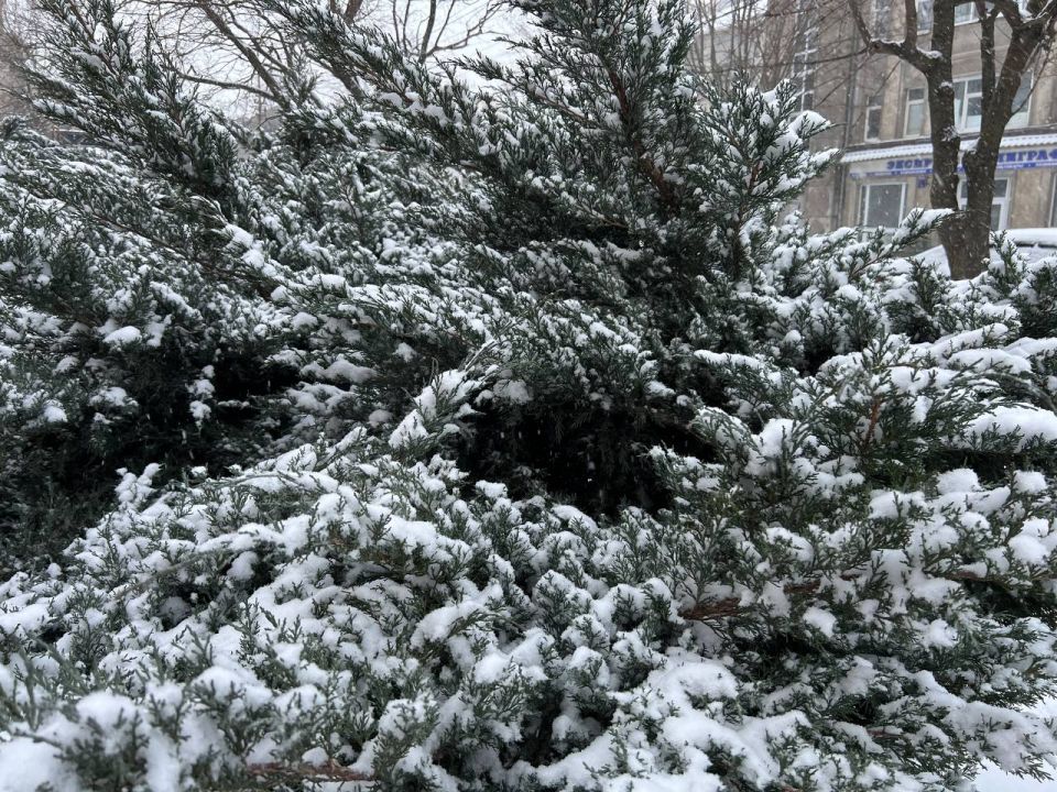 Жителей ЛНР ждёт морозный и ветреный день