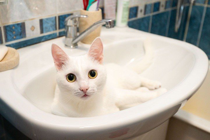 В Северодонецке временно приостановили подачу воды