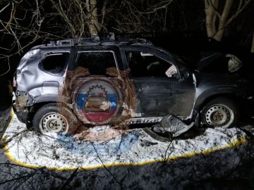 � ��������������� ������������� ������ ���������� ������� ����������� � ��������������� �������-������������� ������������, � ������� �������� ����������� ������� ������������������ ��������