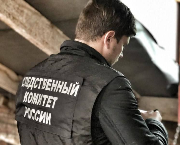 В связи с гибелью женщины и ее внучки в результате отравления угарным газом возбуждено уголовное дело