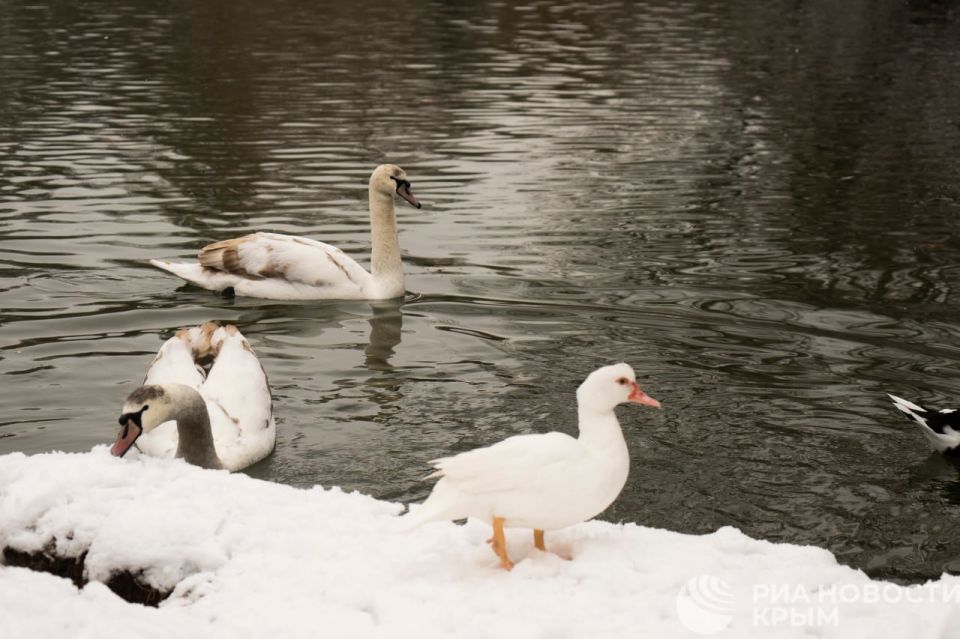 ������ �� ����� ����������� ������