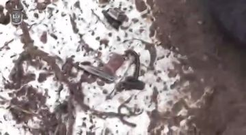 ������ ������� ���������� � ��������� � ���������� �������� ������