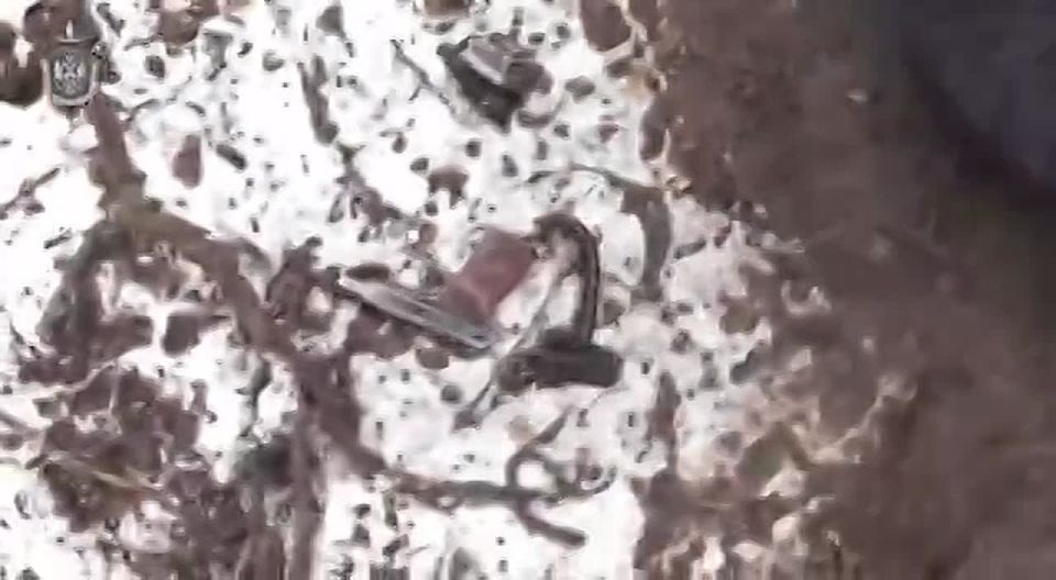 Житель Сватово обвиняется в госизмене и незаконном хранении оружия