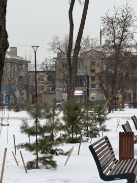 ���� ����� � ������ �������� ���������� �����������