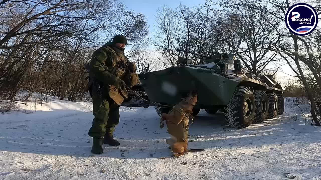 Боец СВО со своей собакой обнаружили и обезвредили сотни взрывных устройств в зоне СВО