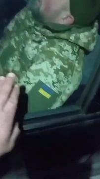 ������� ��������� ����� �� ������: ��������� ������ � ����� ��� �����! ��� ��������?