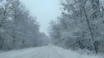 24. ������ ����, �������! � �������� ��������� ����, ��� ������ �������� �������� ��� ��������� ������, ���������� ���� ������ ���