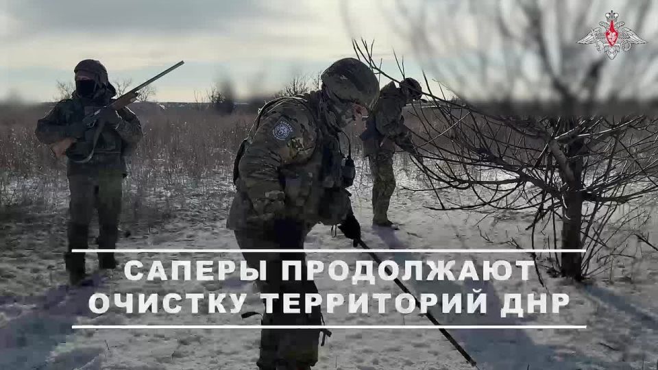 Военные инженеры ВС РФ продолжают разминирование освобожденных территорий на Красноармейском направлении