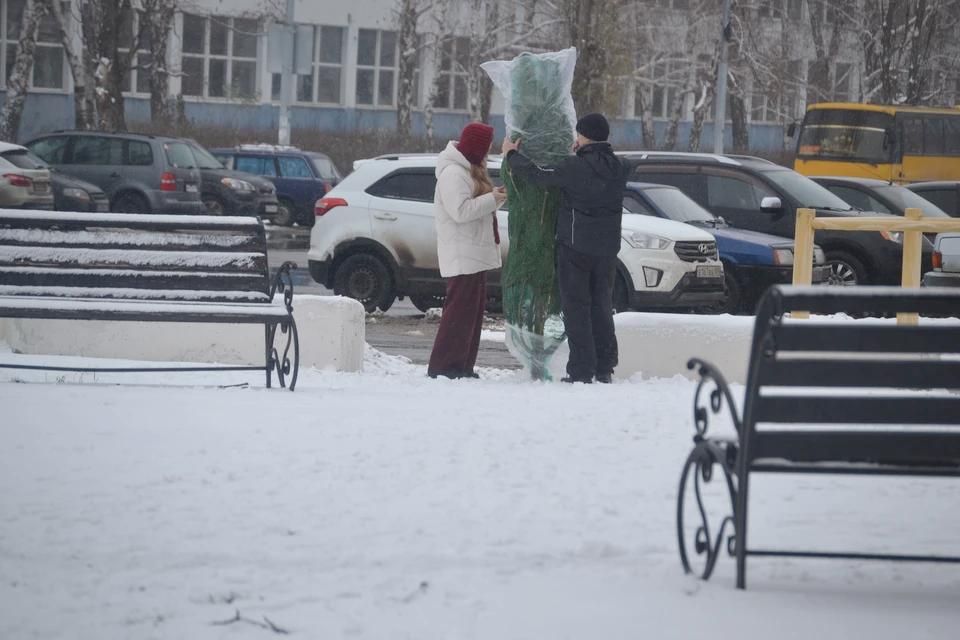 ������� ���� � ��� ��������� �� -11�C