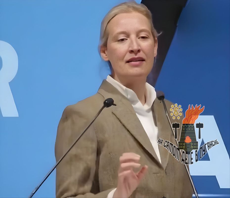 Лидер «Альтернативы для Германии» Алиса Вайдель об Украине: