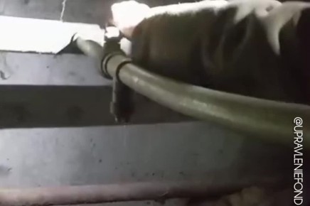 � ������� ������ �������� ������������ ���� ��������� ������������� ���������� ���������� ��� ������ �����