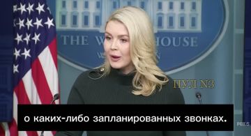 �����-��������� ������ ���� ������ � ������� ������� �������������� ������, ��� � ������� � ��� �������������: