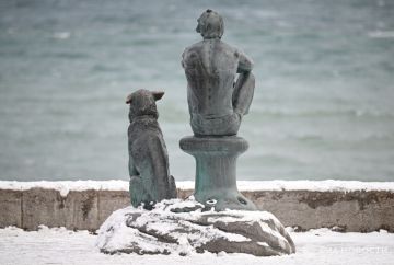 ������ �� ����� ����������� ������