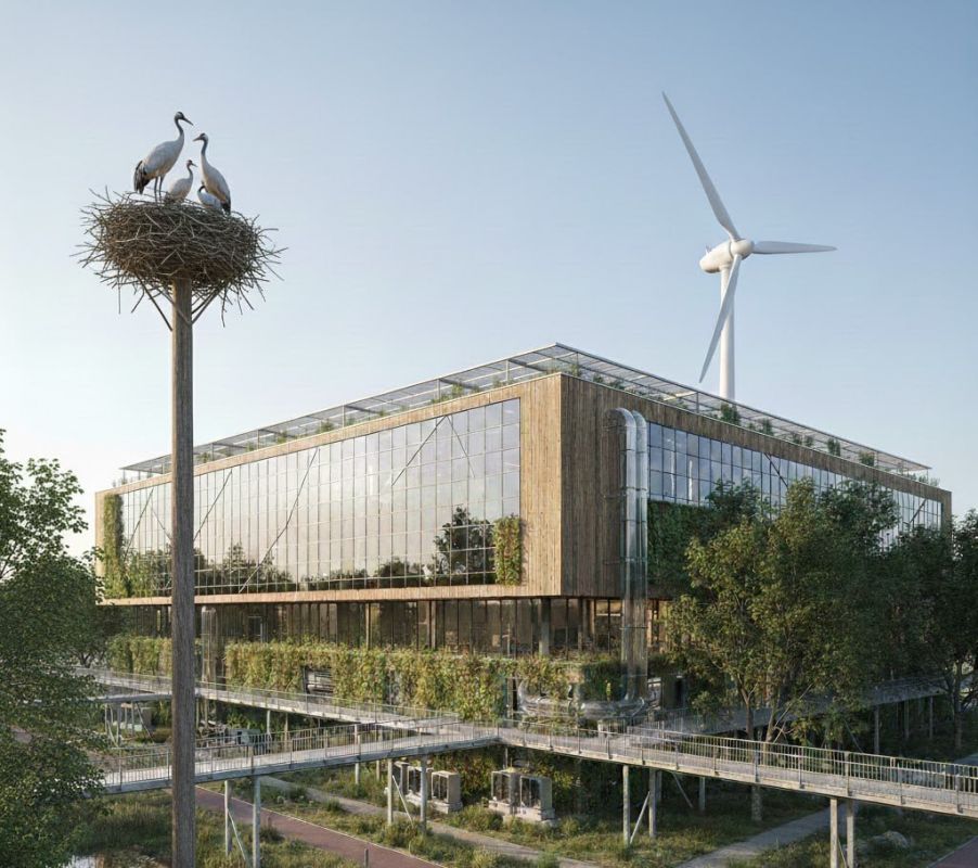 ������������� �������� ���������� �����������: �������� ������� ����������� � ���������� ����������� ����������������