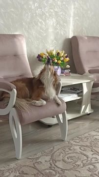 ������� ��������: �����������! "�������" � ����� ������ �������� ������ ���� � ����� ��������� ������!