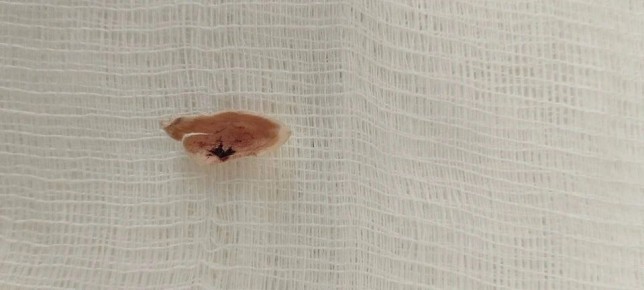 � �������� ����� ������ 4-������ �������, ������� ������������ ���������