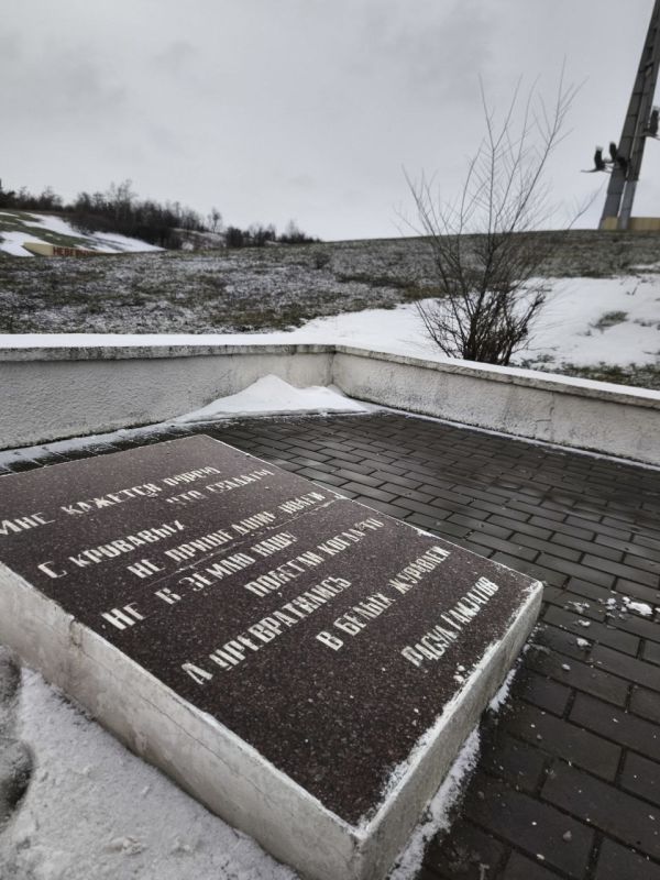 Сергей Цемкало: Сегодня я в Ростове-на-Дону — городе, чья история навеки переплетена с судьбой моего родного Луганска