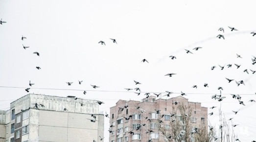 ��������� ������������ 3 ������� � ��� �� 11 �� 26 �������� ������, ����, ����������