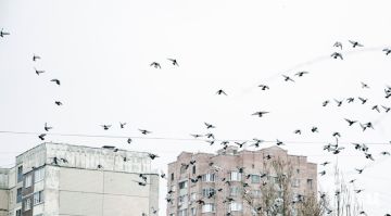 ��������� ������������ 3 ������� � ��� �� 11 �� 26 �������� ������, ����, ����������