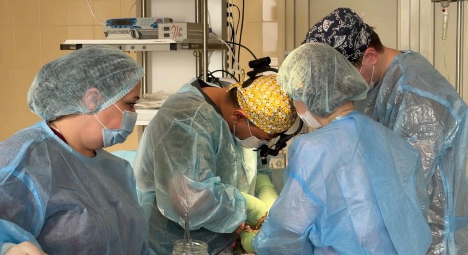 ������� �������: � ��� ���� ������ ����������: ��������� ������ ������ ������������ � �����