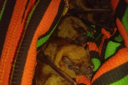 ������ ������������, �� �������� ��� ������: � ������� ������ ������������� ����� �������� � ������� ������