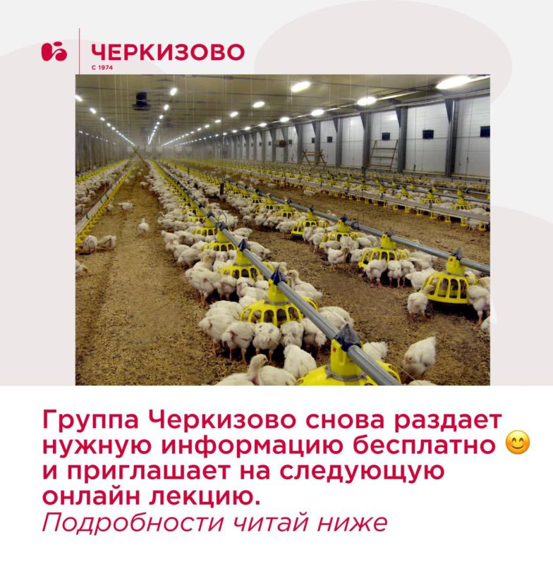 Группа Черкизово приглашает на онлайн лекцию «Технология производства мяса бройлеров. Составление схемы технологического процесса производства мяса бройлеров»