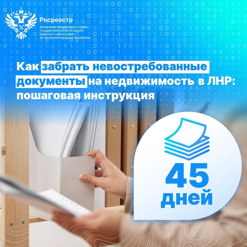 Как забрать невостребованные документы на недвижимость в ЛНР: пошаговая инструкция