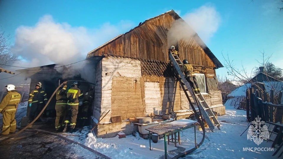 � ����������� �������� ������ 87-������ ����������� �� �������� ����