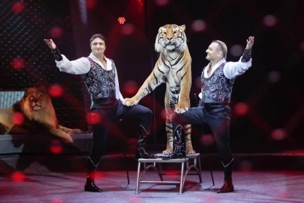 � �������� ���� ������ ���������� ������ ������� ������ ���������