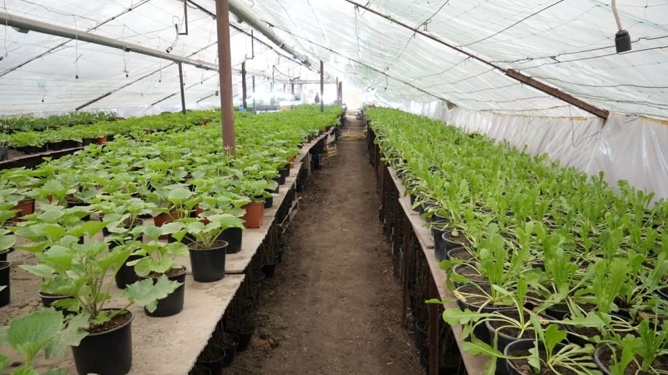 � ���� ���� � �������� ����� �������� ����� 200-� ����� �������� ������������ � ������������